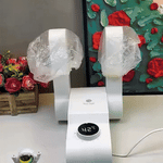 Electric Shoe Dryer